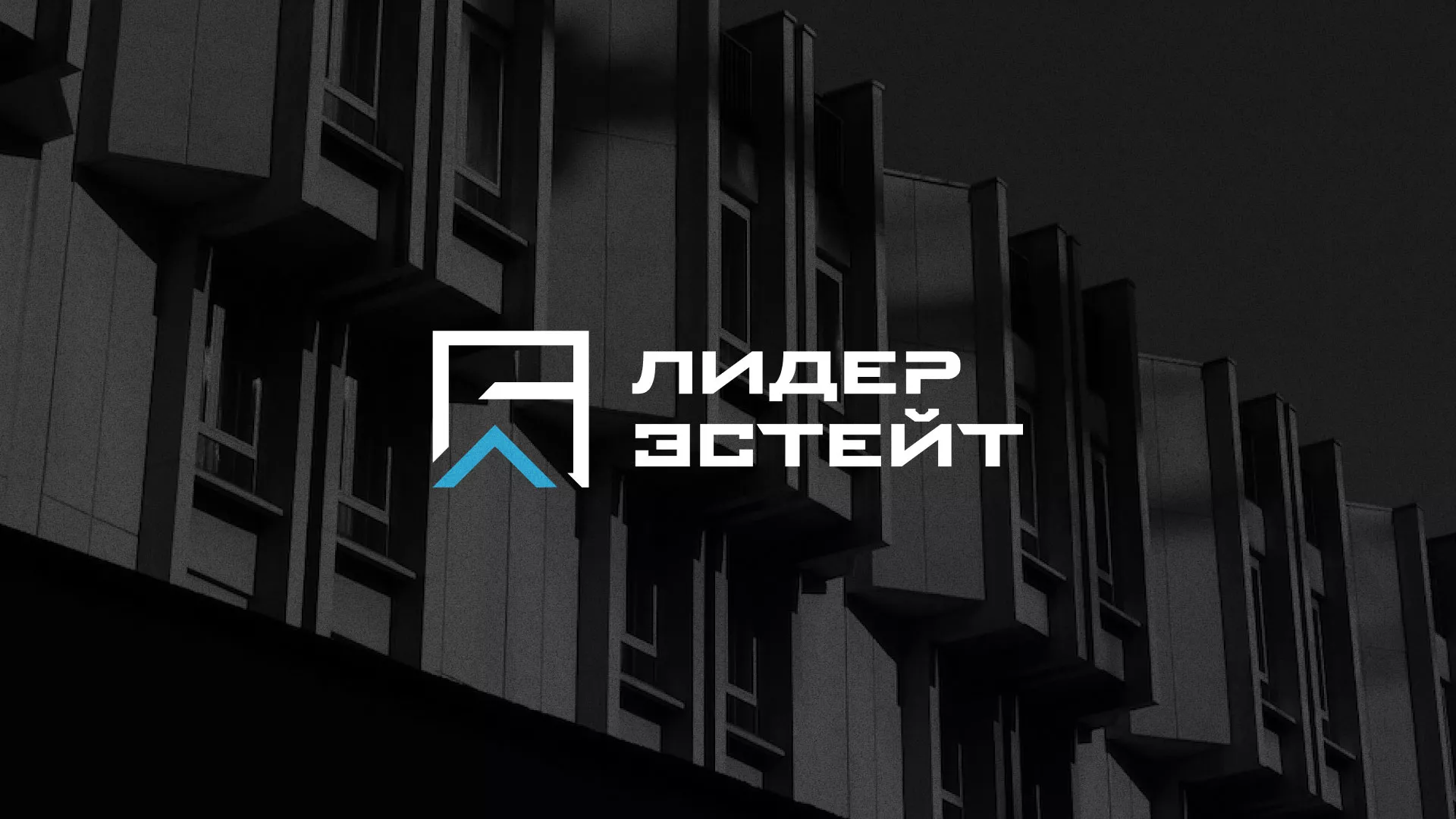 Разработка логотипа агентства недвижимости «Лидер Эстейт» в Салавате